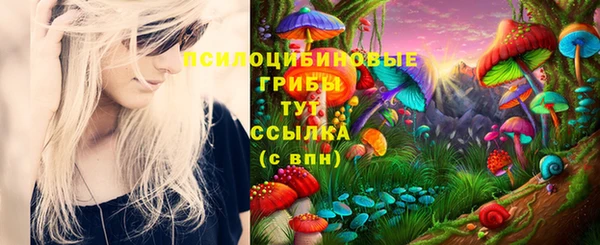 mdpv Алексеевка