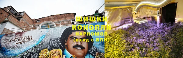 a pvp Алзамай