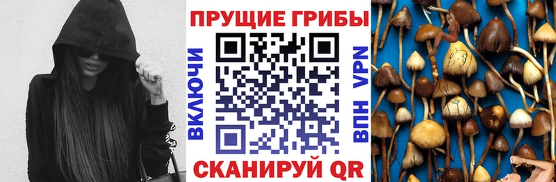 Галлюциногенные грибы MAGIC MUSHROOMS  OMG   даркнет формула  Арамиль 